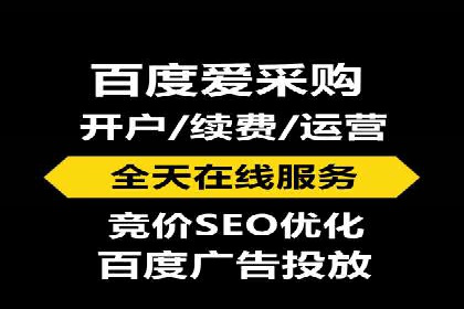 某某SEM团队成功提升网站流量与转化率的实战经验